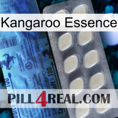 Kangaroo Essence 34